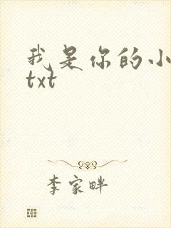 我是你的小小狗txt