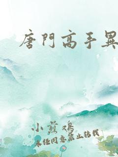 唐门高手异界游