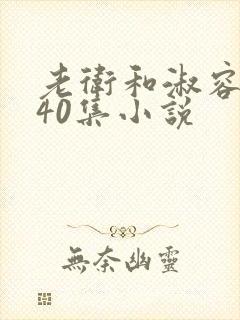 老卫和淑容1-40集小说