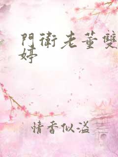 门卫老董双飞陈婷