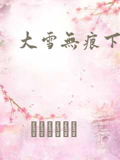 大雪无痕下载