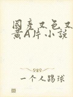 国产又色又爽又黄A片小说