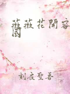 薇薇花开容颜倾国