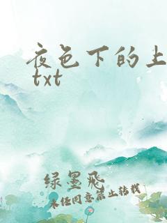 夜色下的上海滩 txt