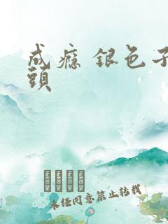 成瘾 银色子弹头