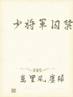 少将军囚禁我