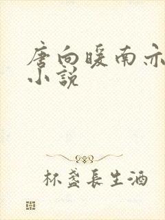 唐向暖南亦琛的小说