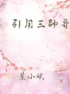 引用三帅哥