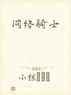 网络骑士