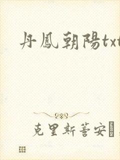 丹凤朝阳txt