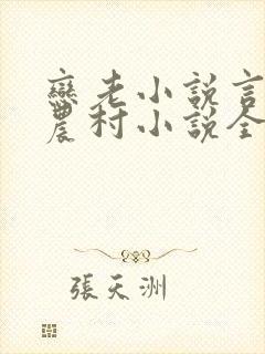 恋老小说言情网农村小说全文阅读