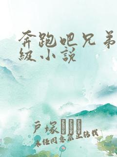 奔跑吧兄弟限制级小说