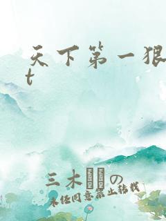 天下第一狠txt