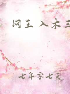 网王 入木三分