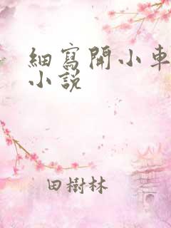 细写开小车车的小说