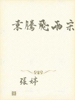 袁腾飞两宋风云