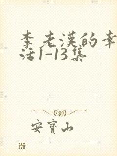 李老汉的幸福生活1-13集