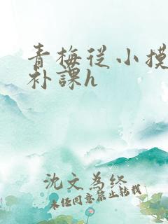 青梅从小摸到大补课h