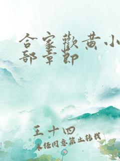 合家欢黄小梅全部章节