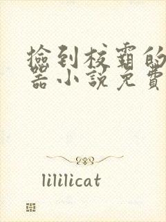 捡到校霸的遥控器小说免费阅读无弹窗