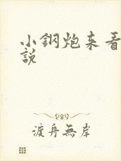 小钢炮来看我小说