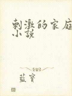 刺激的家庭乱仑小说