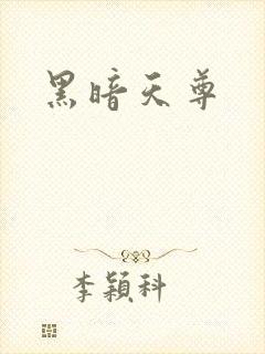 黑暗天尊