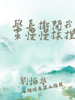 学长撕开我的乳罩慢慢揉捏小说