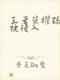 王者荣耀孙尚香被后入