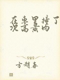 在车里撞了我八次高黄肉