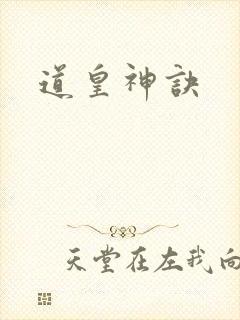 道皇神诀