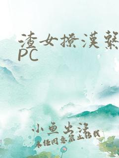 渣女撩汉系统NPC