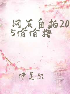 网友自拍2015偷偷撸