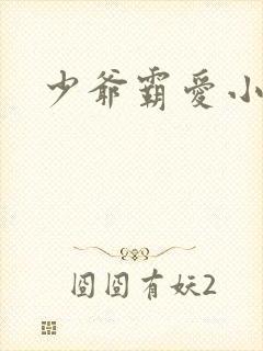 少爷霸爱小丫头