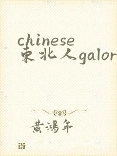 chinese东北人galore