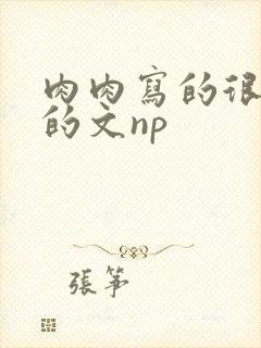 肉肉写的很细致的文np