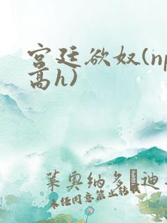 宫廷欲奴(np高h)