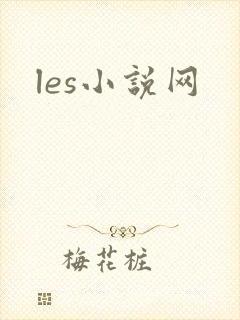 les小说网