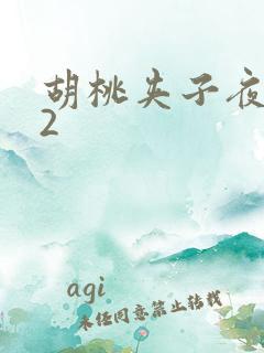 胡桃夹子夜未眠2