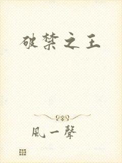 破禁之王