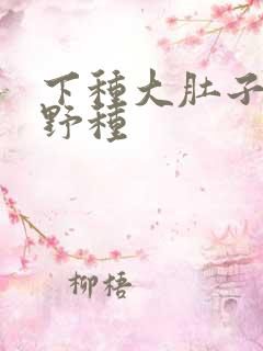 下种大肚子怀孕野种