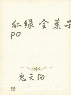 红绿 金叶子 po