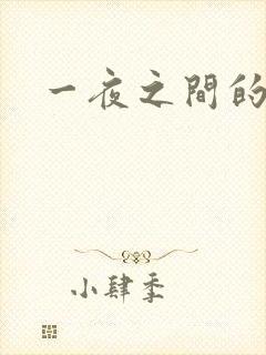一夜之间的天才