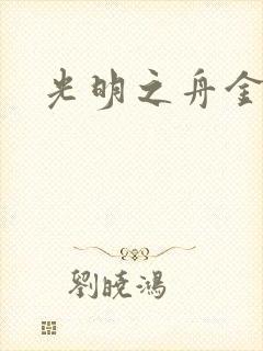 光明之舟金手指