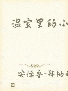 温室里的小百合