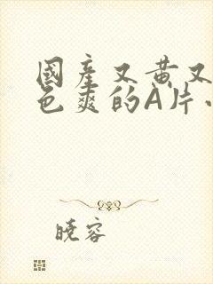 国产又黄又大又色爽的A片小说