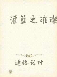 灌篮之璀璨生涯