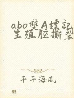 abo双A标记生殖腔撕裂