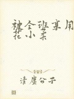 被全班享用的校花小柔