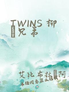 TWINS 柳澤兄弟